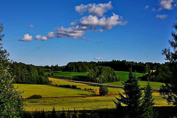 포토 JPG 해외이미지 나무 구름 여행 백그라운드 밭 농업 자연 하늘 날씨 휴가 산 풍경 사람없음 야외 초록색 여름 파란색 농장 노란색 환경 자유 시골 정상 숲 예측 땅 언덕 장면 북쪽 남쪽 조감도 조부모 해외202004 해외포토 자연요소 식물 계절 산업 컬러 컨셉 가족 방향 생태계 파일형식 이미지허브