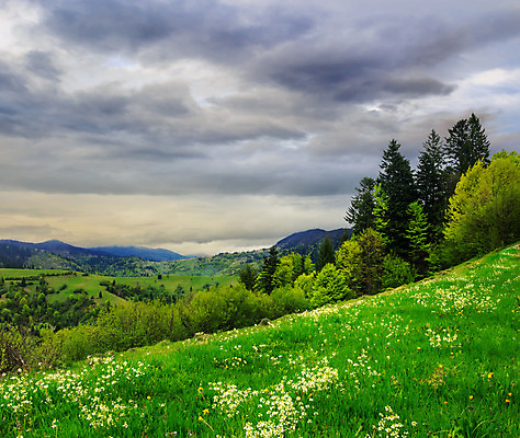 포토 JPG 해외이미지 나무 식물 구름 계절 꽃 유럽 여행 백그라운드 자연 하늘 새로움 산 풍경 사람없음 야외 빨간색 초록색 여름 파란색 컬러풀 환경 계곡 시골 숲 언덕 내추럴 해외202004 해외포토 자연요소 나라 컬러 컨셉 생태계 파일형식 이미지허브