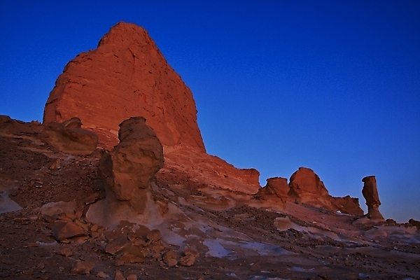 포토 JPG 해외이미지 나무 모래 아프리카 산 건조 이집트 손바닥 사람없음 사막 대추 사하라 서쪽 오아시스 해외202004 해외포토 식물 손 나라 방향 파일형식 이미지허브