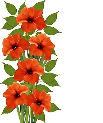 EPS 해외이미지 식물 디자인 배너 꽃 행복 백그라운드 잎 꽃무늬 오렌지 일러스트 자연 추상 휴가 프레임 선물 미술 초록색 여름 정원 맑음 페인트 공백 성장 인사 신용카드 닫기 심볼 사인 싱글 그림 엽서 스타일 해외202004 해외일러스트 계절 감정 컬러 무늬 과일 모션 날씨 문화예술 금융 예절 편지 생태계 파일형식 벡터 이미지허브