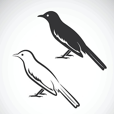 EPS 해외이미지 동물 캐릭터 디자인 유럽 야생동물 백그라운드 2 날개 일러스트 자연 조류 미술 서기 그래픽 컬러풀 환경 검은색 웹 페인트 흰색 숲 만화 문신 심볼 깃털 사인 그림 꼬리 부리 까마귀 내추럴 고립 마스코트 생태학 엘리먼트 스타일 해외202004 해외일러스트 일러캐릭터 교육 나라 컬러 인터넷 모션 문화예술 생태계 파일형식 벡터 이미지허브