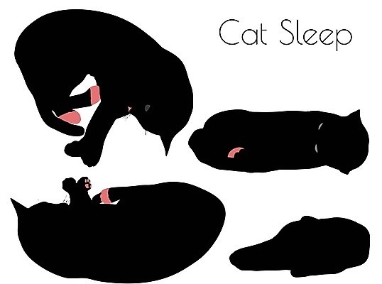 EPS 해외이미지 모양 동물 실루엣 포즈 일러스트 포유류 자연 그림자 사람없음 그래픽 반려동물 검은색 고양이 잠 호랑이 사자 스케치 흰배경 윤곽 표범 고립 엘리먼트 재규어 스라소니 해외202004 해외일러스트 컬러 백그라운드 촬영기법 미술 흰색 생태계 파일형식 벡터 이미지허브