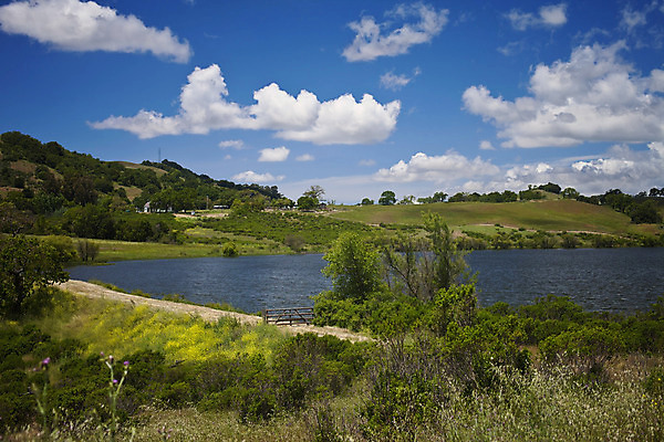 포토 JPG 해외이미지 나무 식물 구름 1 계절 공원 꽃 지구 호수 여행 잎 자연 하늘 풍경 사람없음 야외 목재 초록색 물 여름 파란색 노란색 맑음 목장 나뭇가지 시골 신선 개화 황금 큼 언덕 싱글 데이지 장면 내추럴 고립 승인 옛날 해외202004 해외포토 자연요소 공공시설 컬러 재료 날씨 크기 생태계 파일형식 이미지허브