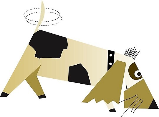 EPS 해외이미지 동물 행복 어린이 일러스트 장난 포유류 함께함 사랑 반려동물 우정 아기 개 강아지 기르기 해외202004 해외일러스트 감정 컨셉 사람 친구 돌봄 파일형식 벡터 이미지허브