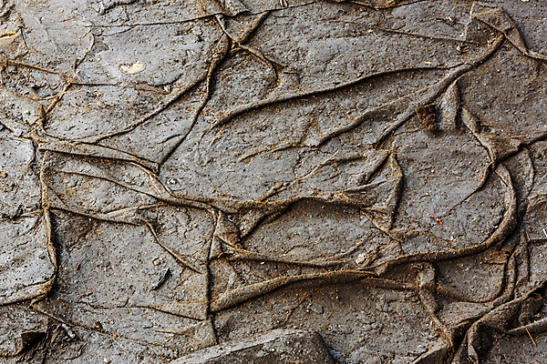 포토 JPG 해외이미지 디자인 종이 백그라운드 패턴 벽지 표면 날씨 추상 바닥 미술 사람없음 갈색 노란색 검은색 어둠 페인트 손상 수확 골동품 점 얼룩 거친 균열 떨어짐 부식 질감 복고 캔버스 찢어짐 시들음 구김 그런지 양피지 옛날 해외202004 해외포토 컬러 컨셉 무늬 농업 모션 문화예술 파일형식 이미지허브