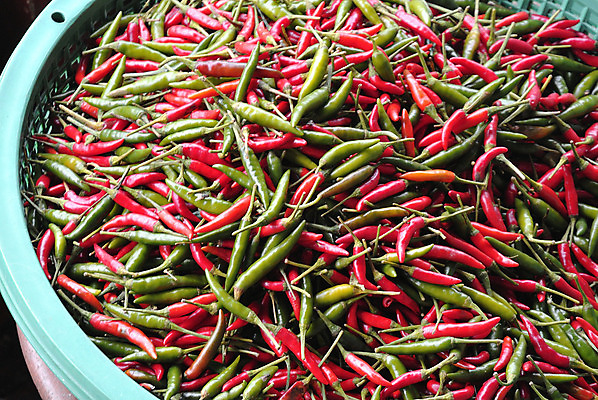 포토 JPG 해외이미지 전통 문화 음식 여행 농업 채소 과일 교통시설 태국 아침 노동자 바나나 사람 동양인 사람없음 목재 물 쇼핑 강 컬러풀 판매 여행객 시장 플랫 구매 나룻배 무역 방콕 운하 지역 망고 시끄러움 밭일 이국적 인기 해외202004 해외포토 주간 자연요소 나무 직업 산업 아시아 컬러 교통 배_교통 재료 인종 열대과일 시설 파일형식 이미지허브