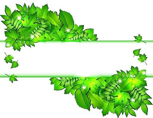 EPS 해외이미지 나무 식물 디자인 배너 계절 공원 포스터 백그라운드 잎 패턴 일러스트 자연 추상 프레임 장식 초록색 여름 환경 정원 맑음 봄 활발 성장 덮개 흰색 나뭇가지 신선 숲 에코 유기농 원예 질감 내추럴 생태학 엘리먼트 해외202004 해외일러스트 웰빙 공공시설 교육 컬러 컨셉 무늬 날씨 취미 뚜껑 생태계 파일형식 벡터 이미지허브