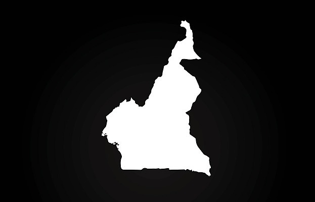 EPS 해외이미지 모양 템플릿 디자인 백그라운드 지도 일러스트 추상 검은색 흰색 신용카드 심볼 신분 윤곽 엘리먼트 전국 카메룬 활자 해외202004 해외일러스트 컬러 무늬 아프리카 금융 활자판 파일형식 벡터 이미지허브