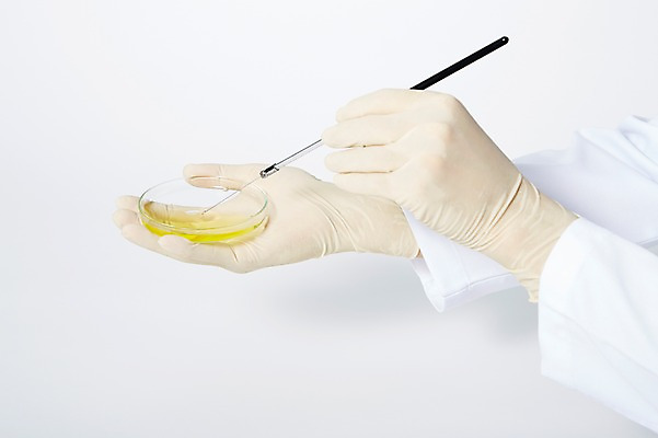 포토 JPG 스튜디오촬영 손 교육 과학 장갑 백그라운드 실내 실험기구 실험 한명 들기 신체부위 약 양손 스포이트 오브젝트 교구 샬레 국내포토 1 잡화 의학 모션 사람 내부 피펫 파일형식