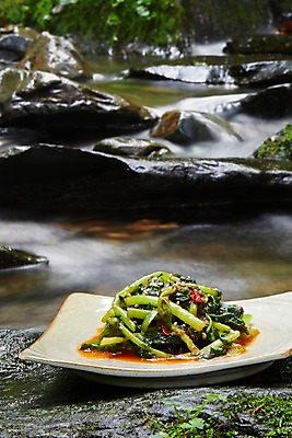 포토 JPG 주간 나무 식물 그릇 식기 접시 한식 반찬 김치 한국 풍경 근접촬영 사람없음 야외 물 계곡 전통음식 돌_바위 바위 강원도 발효 발효음식 열무김치 열무 국내포토 자연요소 전통 아시아 음식 뷰포인트 무 파일형식