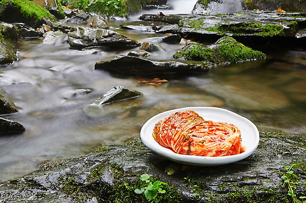 포토 JPG 주간 식물 그릇 식기 접시 한식 반찬 김치 한국 풍경 근접촬영 사람없음 야외 물 계곡 전통음식 돌_바위 바위 풀 강원도 발효 배추김치 발효음식 국내포토 자연요소 전통 아시아 음식 뷰포인트 파일형식