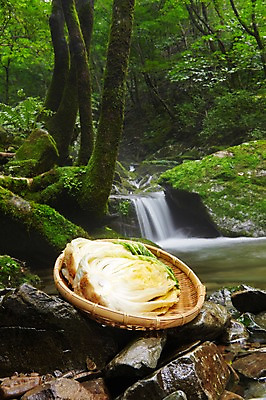 포토 JPG 주간 나무 그릇 식기 채소 식재료 한국 풍경 근접촬영 사람없음 야외 물 바구니 계곡 돌_바위 바위 배추 강원도 절임배추 국내포토 자연요소 식물 아시아 뷰포인트 파일형식