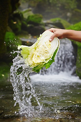 포토 JPG 주간 손 채소 식재료 한손 한국 한명 들기 풍경 근접촬영 야외 아웃포커스 신체부위 물 계곡 바위 배추 강원도 국내포토 자연요소 1 아시아 뷰포인트 모션 촬영기법 사람 돌_바위 파일형식