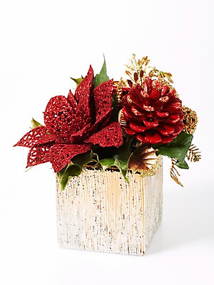 포토 JPG 스튜디오촬영 식물 기념일 꽃 화분 크리스마스장식 크리스마스 크리스마스용품 누끼 이벤트 사람없음 장식 오브젝트 솔방울 국내포토 실내 용품 파일형식