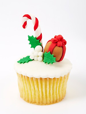 포토 JPG 스튜디오촬영 기념일 음식 빵 크리스마스장식 크리스마스 지팡이 크리스마스용품 디저트 선물 누끼 이벤트 사람없음 장식 케이크 컵케이크 오브젝트 국내포토 실내 용품 파일형식