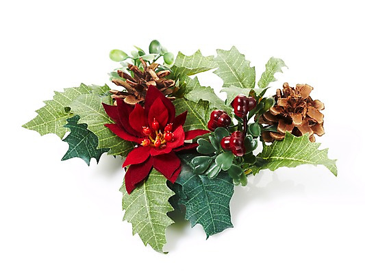 포토 JPG 스튜디오촬영 식물 기념일 꽃 크리스마스장식 크리스마스 크리스마스용품 나뭇잎 누끼 이벤트 사람없음 장식 오브젝트 솔방울 국내포토 잎 실내 용품 파일형식