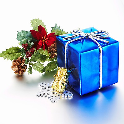 포토 JPG 스튜디오촬영 식물 기념일 꽃 리본 크리스마스장식 크리스마스 크리스마스용품 선물 누끼 이벤트 사람없음 장식 선물상자 오브젝트 솔방울 국내포토 실내 상자 용품 파일형식