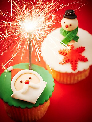 포토 JPG 스튜디오촬영 기념일 음식 빵 크리스마스장식 크리스마스 눈사람 크리스마스용품 불꽃 디저트 폭죽 이벤트 근접촬영 사람없음 장식 산타클로스 케이크 컵케이크 오브젝트 국내포토 뷰포인트 불 실내 용품 파일형식
