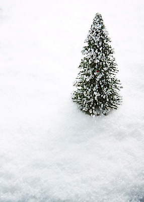 포토 JPG 스튜디오촬영 기념일 크리스마스장식 크리스마스 크리스마스용품 이벤트 사람없음 장식 크리스마스트리 설원 눈 오브젝트 국내포토 자연요소 날씨 눈_날씨 실내 용품 파일형식