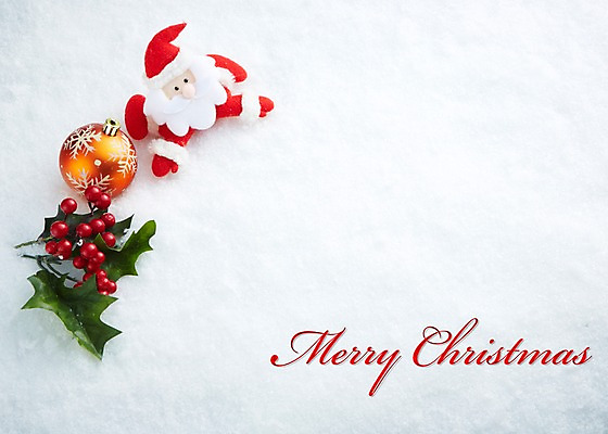 포토 JPG 스튜디오촬영 기념일 열매 크리스마스장식 크리스마스 크리스마스용품 나뭇잎 이벤트 사람없음 장식 산타클로스 설원 방울 눈 오브젝트 국내포토 자연요소 식물 잎 날씨 눈_날씨 실내 용품 파일형식