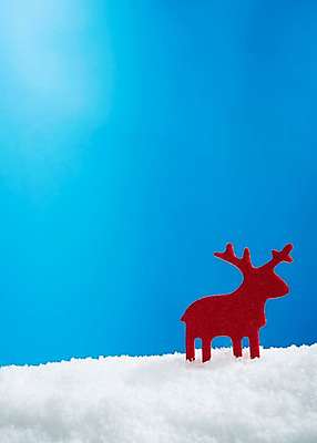 포토 JPG 스튜디오촬영 동물 기념일 컬러 크리스마스장식 크리스마스 크리스마스용품 사슴 이벤트 사람없음 장식 빨간색 파란색 설원 루돌프 흰색 눈 오브젝트 국내포토 자연요소 포유류 날씨 눈_날씨 실내 용품 파일형식