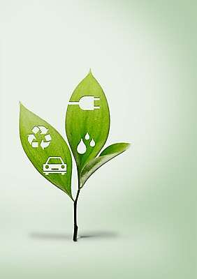 PSD 식물 편집 편집이미지 캠페인 컬러 잎 자연 사람없음 초록색 새싹 자연보호 환경 그린캠페인 재활용 절약 보호 에코 친환경 에너지절약 물절약 자원절약 전기절약 이미지편집 컨셉 에너지 생태계 파일형식