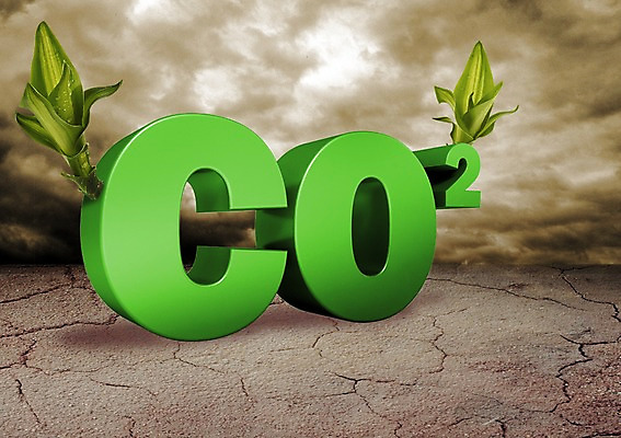 PSD 식물 편집 편집이미지 기호 알파벳 캠페인 자연 사람없음 초록색 새싹 자연보호 환경 그린캠페인 황무지 환경오염 오염 보호 에코 친환경 에너지절약 원소기호 이산화탄소 화학기호 이미지편집 문자 영어 컬러 컨셉 에너지 절약 생태계 파일형식