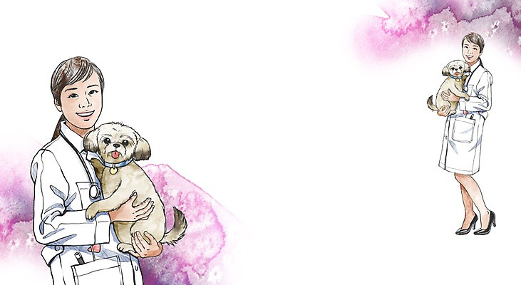 전신 PSD 동물 직업 학생 라이프스타일 여자 교육 대학생 일러스트 청진기 서기 웃음 들기 사람 두명 라이프 반려동물 의사 구직 가운 의사가운 체험 강아지 목표 계획 대학교 열정 수의사 여자만 국내일러스트 옷 감정 컨셉 학교 의료기기 모션 표정 생활 의료진 개 파일형식