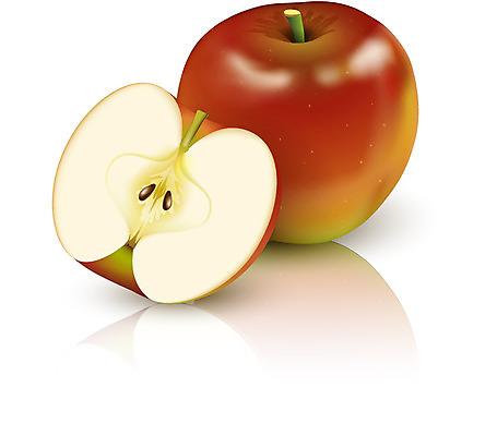 아이콘 과일 단면 입체아이콘 디테일아이콘 사람없음 디지털 사과 입체 오브젝트 반쪽 슬라이스 디테일 2D아이콘 AI파일 파일형식 벡터