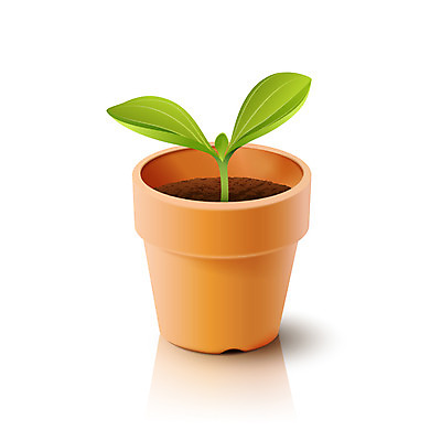 식물 아이콘 화분 잎 입체아이콘 디테일아이콘 사람없음 새싹 디지털 풀 입체 오브젝트 디테일 2D아이콘 AI파일 파일형식 벡터