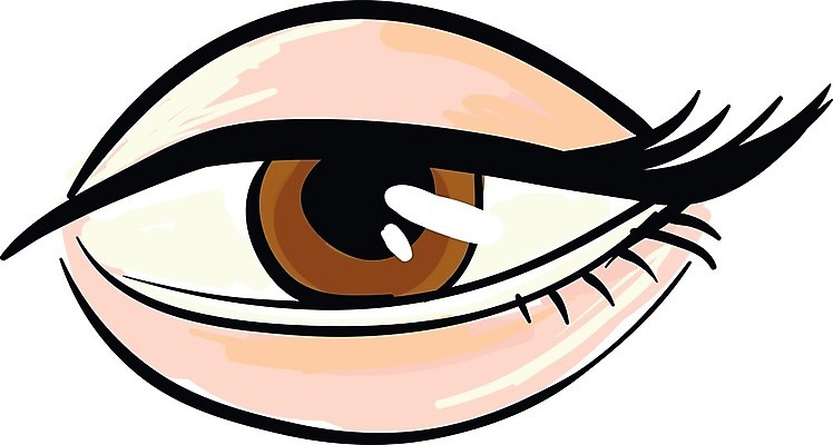 EPS 해외이미지 학생 디자인 여자 과학 컨셉 일러스트 해부 추상 건강 사람 그래픽 파란색 갈색 눈동자 스케치 속눈썹 심볼 마스카라 시력 심플 비전 붓꽃 개암나무 고립 해외202004 해외일러스트 나무 꽃 컬러 무늬 의학 미술 화장품 눈 눈썹 안구 파일형식 벡터 이미지허브