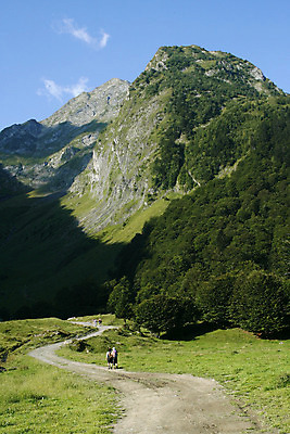 포토 JPG 해외이미지 공원 여자 남자 스포츠 자연 산 풍경 성인 사람없음 야외 하이킹 해외202004 해외포토 공공시설 레저 사람 생태계 파일형식 이미지허브