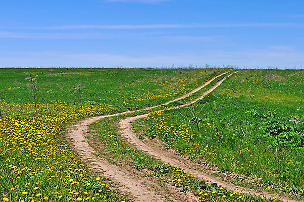 포토 JPG 해외이미지 계절 도로 길 지구 여행 잎 밭 자연 하늘 항해 풍경 사람없음 야외 초록색 파란색 햇빛 노란색 환경 맑음 봄 하이킹 시골 승차 민들레 오솔길 땅 바퀴자국 러시아 먼지 땅바닥 루트 방법 자취 수평선 해외202004 해외포토 식물 꽃 유럽 컬러 농업 배_교통 교통시설 자국 모션 레저 날씨 바닥 태양 생태계 파일형식 이미지허브