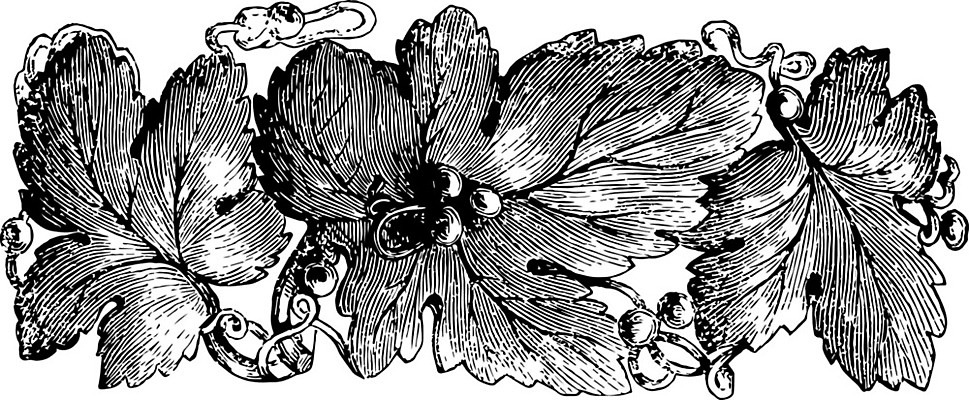 EPS 해외이미지 옷 선 일러스트 미술 검은색 수확 흰색 그림 고정 판화 브로치 해외202004 해외일러스트 컬러 농업 장신구 문화예술 파일형식 벡터 이미지허브