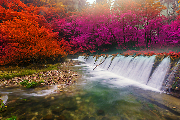 포토 JPG 해외이미지 공원 여행 잎 자연 산 풍경 사람없음 초록색 물 여름 강 중국 활발 폭포 젖음 흐름 가을 신선 개울 숲 즐거움 사암 천국 내추럴 해외202004 해외포토 자연요소 식물 계절 공공시설 감정 아시아 컬러 컨셉 돌_바위 생태계 파일형식 이미지허브
