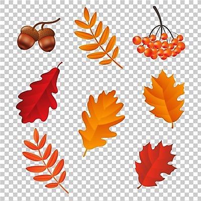EPS 해외이미지 나무 식물 디자인 백그라운드 단풍 잎 2 과일 일러스트 공 자연 산 건조 3 씨앗 그래픽 장식 초록색 여름 갈색 노란색 세일 화환 힘 견과류 성장 가을 흰색 나뭇가지 오브젝트 도토리 내추럴 고립 엘리먼트 재 해외202004 해외일러스트 계절 꽃 컬러 생태계 파일형식 벡터 이미지허브