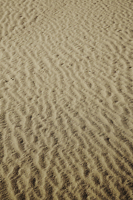 포토 JPG 해외이미지 모래 파도 여행 백그라운드 컨셉 패턴 곡선 아프리카 자연 벽지 추상 열대 건조 그림자 풍경 사람없음 야외 햇빛 갈색 노란색 침묵 사막 뜨거움 발자국 땅 모래언덕 언덕 질감 장면 모로코 사하라 생태학 화창 해외202004 해외포토 교육 나라 선 바다 컬러 무늬 자국 날씨 태양 소리 생태계 파일형식 이미지허브