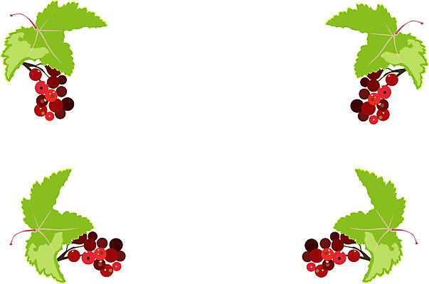 EPS 해외이미지 식물 디자인 열매 음식 잎 과일 일러스트 자연 디저트 건강 미술 빨간색 초록색 정원 성장 신선 우아함 달콤 맛 다발 먹기 생태계 무침 시트 내추럴 건포도 숙성 정교 스타일 해외202004 해외일러스트 컬러 컨셉 모션 포도 문화예술 건과일 파일형식 벡터 이미지허브