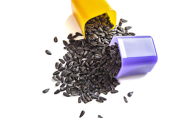 포토 JPG 해외이미지 식물 꽃 음식 백그라운드 농업 다이어트 채소 재료 자연 유리 해바라기 건조 건강 씨앗 사람없음 목재 농작물 태양 쌓기 바구니 검은색 에너지 지성 껍질 흰색 그룹 냄비 낟알 컨테이너 시리얼 굽기 먹기 에코 유기농 알맹이 날것 연료 흙더미 내추럴 고립 바이오 채식주의자 해외202004 해외포토 자연요소 나무 웰빙 산업 컬러 모션 재질 환경 흙 솥 구이 생태계 채식 파일형식 더미 이미지허브