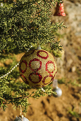 포토 JPG 해외이미지 나무 계절 리본 도로 잎 크리스마스 공 자연 하늘 휴가 불꽃 산 기념 풍경 사람없음 야외 목재 장식 빛 컬러풀 햇빛 크리스마스트리 축제 종 나뭇가지 시골 축하 소나무 소프트포커스 숲 12월 상록수 침엽수 전나무 원뿔 강렬 광 노엘 크리스마스배경 해외202004 해외포토 도형 식물 기념일 길 컬러 백그라운드 컨셉 재료 교통시설 불 촬영기법 태양 날짜 생태계 파일형식 이미지허브