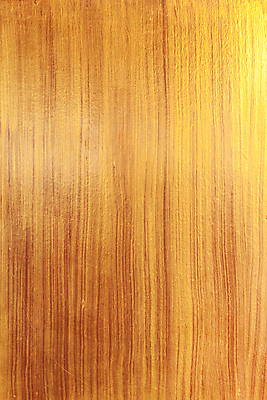 포토 JPG 해외이미지 식물 디자인 벽 가구 백그라운드 패턴 자연 표면 날씨 추상 바닥 주택 외벽 사람없음 건물 목재 세로 울타리 줄무늬 골동품 판넬 거친 황금 널 낟알 목수 질감 목공예 잡동사니 내추럴 그런지 사생활 수목 옛날 줄서기 해외202004 해외포토 나무 직업 건축물 생활용품 무늬 재료 모션 담장 공예 생태계 파일형식 이미지허브