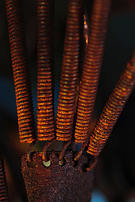 포토 JPG 해외이미지 사람없음 자전거 봄 버리기 부식 해외202004 해외포토 계절 모션 바이크 파일형식 이미지허브