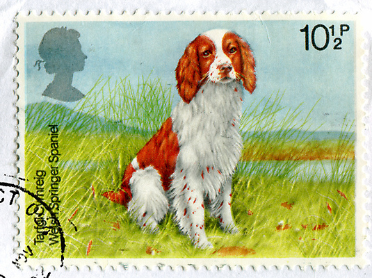 포토 JPG 해외이미지 동물 포유류 자연 봉투 잉글랜드 털 사람없음 반려동물 수확 골동품 스패니얼 메시지 역사 개 큼 물개 모피 편지 복고 엽서 우표 송곳니 기르기 옛날 유래 해외202004 해외포토 농업 영국 바다동물 치아 크기 생태계 돌봄 파일형식 이미지허브