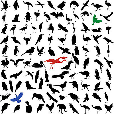 EPS 해외이미지 동물 실루엣 일러스트 갈매기 조류 오리 키위 미술 왜가리 플라밍고 펭귄 비둘기 거위 타조 까마귀 물총새 황새 해외202004 해외일러스트 과일 문화예술 촬영기법 파일형식 벡터 이미지허브