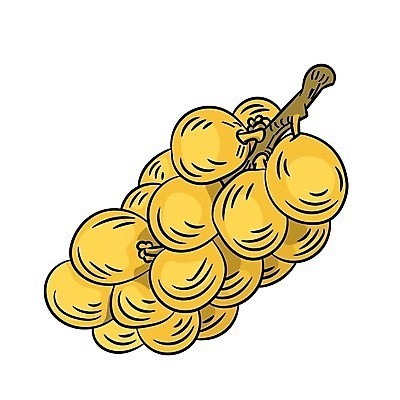 EPS 해외이미지 디자인 아시아 선 음식 농업 다이어트 과일 일러스트 태국 건강 동양인 노란색 검은색 흰색 신선 달콤 만화 다발 그림 유기농 윤곽 말레이시아 내추럴 고립 채식주의자 해외202004 해외일러스트 웰빙 나라 산업 컬러 인종 맛 채식 파일형식 벡터 이미지허브