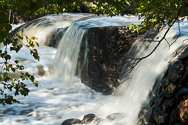 포토 JPG 해외이미지 나무 식물 계절 공원 백그라운드 모션 자연 휴식 이끼 풍경 사람없음 야외 초록색 물 강 평화 환경 정원 침묵 활발 폭포 젖음 흐름 성장 가을 바위 신선 개울 떨어짐 숲 시원함 즐거움 내추럴 해외202004 해외포토 자연요소 공공시설 감정 컬러 컨셉 소리 돌_바위 생태계 파일형식 이미지허브