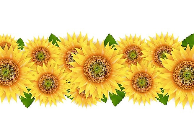 EPS 해외이미지 꽃 음료 음식 백그라운드 잎 다이어트 채소 일러스트 재료 자연 유리 해바라기 프레임 건강 요리 씨앗 초록색 노란색 라벨 주방 식사 샐러드 튀김 흰색 조미료 투명 액체 황금 컨테이너 먹기 가득함 오브젝트 유기농 올리브 칼로리 버터 내추럴 채식주의자 해로움 해외202004 해외일러스트 식물 웰빙 열매 산업 컬러 컨셉 모션 재질 생태계 채식 향미료 파일형식 벡터 이미지허브