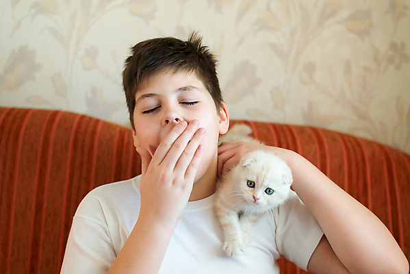 포토 JPG 해외이미지 동물 얼굴 어린이 여행 2 청소년 놀이 주택 털 실내 한명 사람 소년 내부 10대 빨간색 반려동물 고양이 우정 방 고통 게임 흰색 모피 자르기 조립 알레르기 기르기 재채기 접기 스코틀랜드 해외202004 해외포토 1 남자 감정 컬러 포유류 모션 영국 건물 신체부위 친구 질병 돌봄 파일형식 이미지허브
