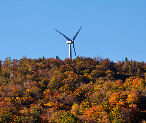 포토 JPG 해외이미지 계절 단풍 잎 날개 오렌지 자연 하늘 바람 사람없음 야외 빨간색 초록색 노란색 환경 탑 힘 재활용 풍차 발전기 에너지 가을 칼날 보호 숲 프로펠러 세대 내추럴 해외202004 해외포토 자연요소 식물 건축물 컬러 컨셉 과일 날씨 발전소 친환경 생태계 파일형식 이미지허브