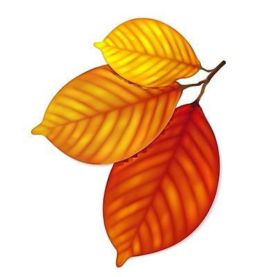 EPS 해외이미지 나무 식물 디자인 계절 줄기 잎 꽃무늬 곡선 오렌지 일러스트 자연 미술 그래픽 장식 빨간색 세트 갈색 노란색 가을 나뭇가지 우아함 떨어짐 심볼 그림 질감 정맥 엘리먼트 해외202004 해외일러스트 꽃 선 컬러 컨셉 무늬 과일 문화예술 생태계 혈관 파일형식 벡터 이미지허브